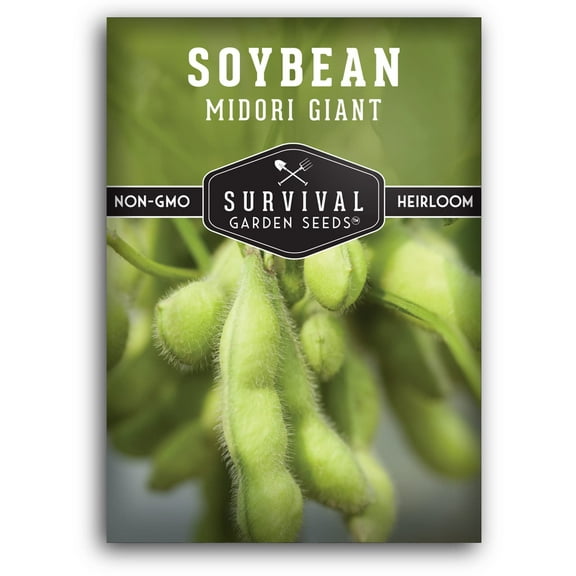 Midori Giant Soybean Seeds for Planting - Non-GMO Heirloom Soy Bean (1 Pack)