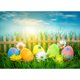 thumbnail image 5 of Tema de Pascua Fotografía Fondo Huevos Conejo Flores Pastizales Bebé Niño Telones de fotos para Phot Abanopi Telones de fondo, 5 of 5