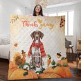 thumbnail image 2 of Happy Thanksgiving German Shorthaired Pointer with Turkey Pumpkins Autumn Vibes Quilt Blanket GSP Lover Dog Gift Cozy Comforter Throw Blanket - 12018, 2 of 5