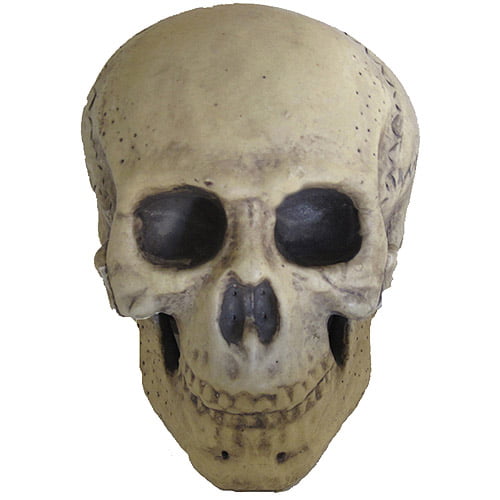 Shrunken Head 3 Pack of Foam Halloween Skulls Pirate Skeleton Party Decor 