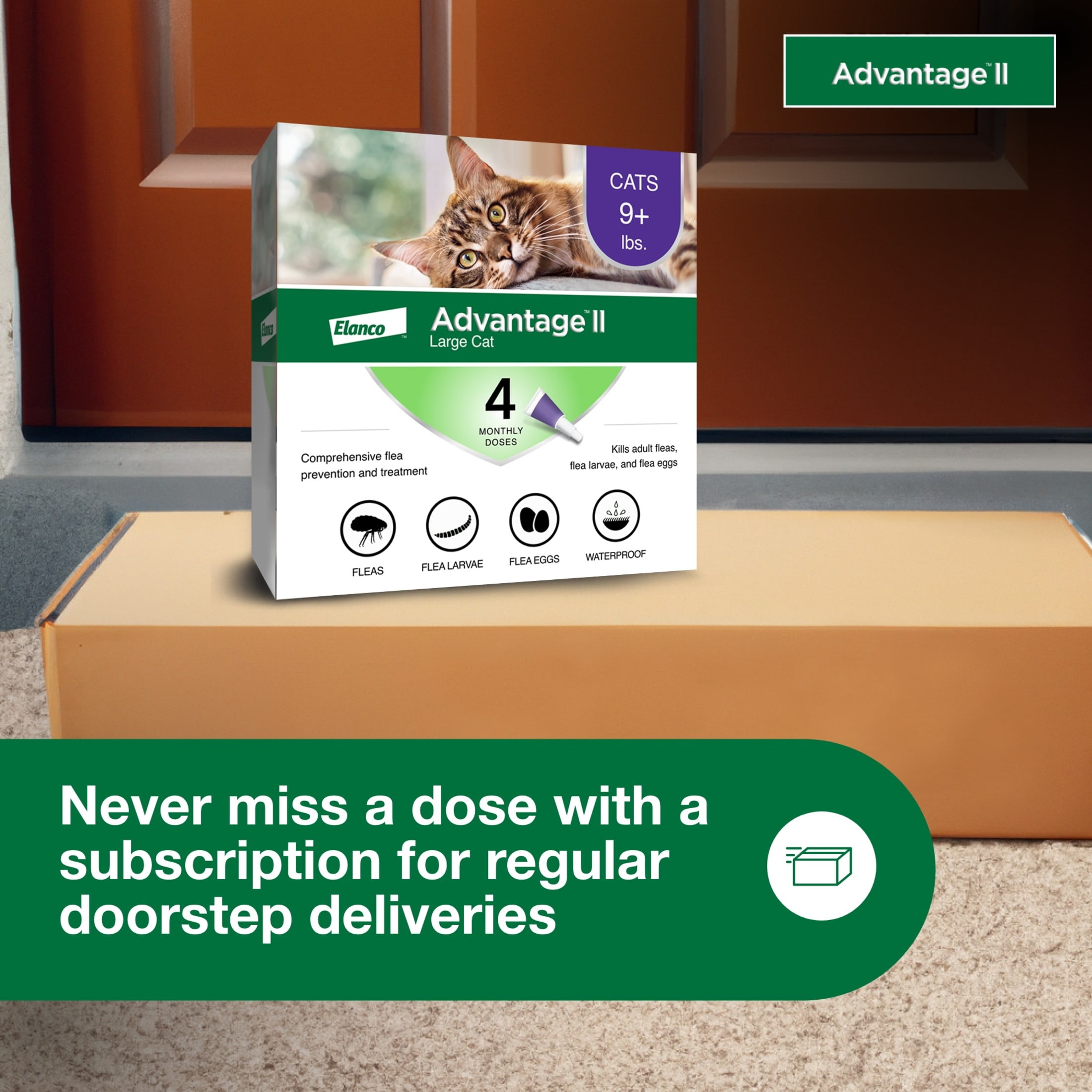 Advantage II Vet-Recommended Flea Prevention for Large Cats 9 lbs+, 4-Monthly Treatments
