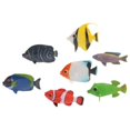 thumbnail image 1 of US Toy Juego de figuras de peces tropicales de colores y diseños variados (lote de 12), 1 of 2