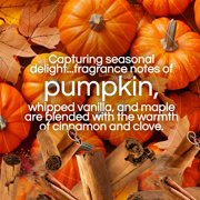 Air Wick Vibrant Plug-In Scented Oil Air Freshener Warmer Refills, Harvest Pumpkin and Spice, 2 Count