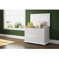 thumbnail image 2 of Mueble Juguetero tipo Baúl Multimoveis Modelo 2315.0001, 2 of 3