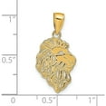thumbnail image 4 of 14K Yellow Gold Lion Head Pendant (26 X 12) Made In Peru d4225, 4 of 6