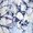 Light Blue Navy Floral, variant on Women’s Plus Size Printed Button Down Long Sleeve Casual Blouse Shirt