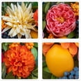 thumbnail image 5 of Spring Wreath for Front Door 24 Inch, Summer Floral Wreath with Peony Dahlia Hydrangea, Outdoor Door Decoration with Lemons and Berries, 5 of 8