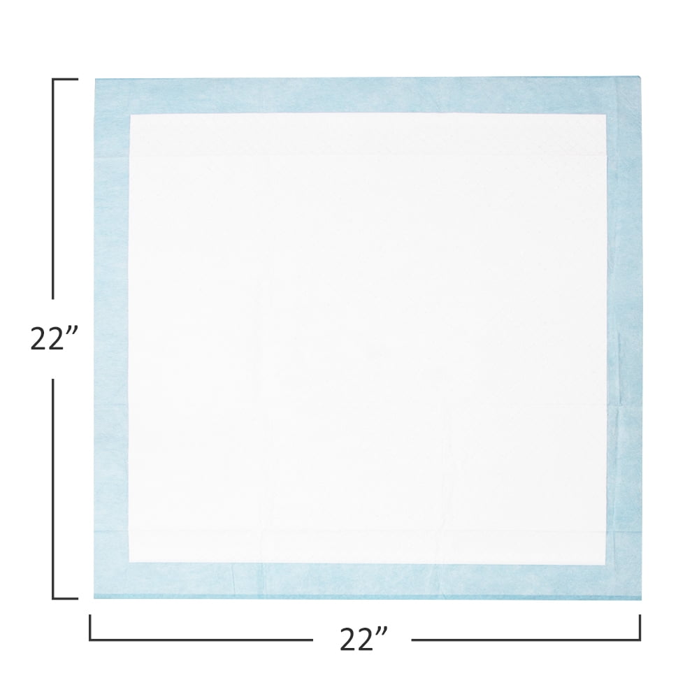 Fluffy Ventures Pet Dog and Puppy Pee Training Pads, Disposable, Regular 22" x 22" - 100 Count