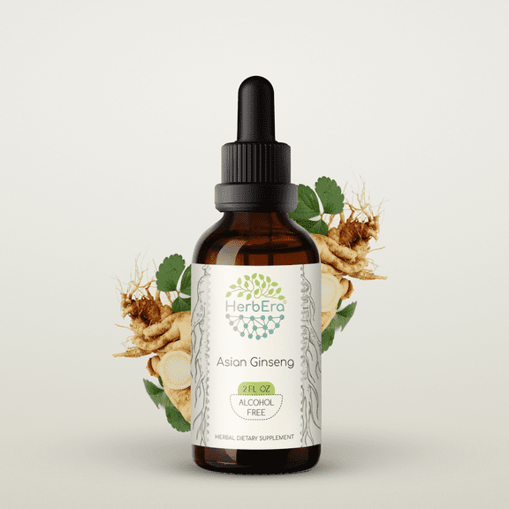 HerbEra Asian Ginseng Tincture, Herbal Dietary Supplement for Energy Support, Korean Red Ginseng (Asian Ginseng, Panax ginseng) Dried Root Extract, Natural, Alcohol-Free, Drops 2 oz