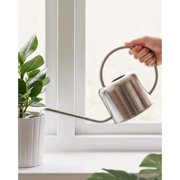 JF HENDE 1L Stainless Steel Watering Can - Modern Silver Metal Water Pot with Long Spout for Indoor Plants, Succulents, and Small Gardens