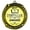 Best Storyteller, variant on Fashionista Award Stars Design Medal | Celebration and Appreciation Prize For Family