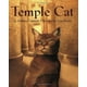 Chat du Temple par Clements, Andrew/ Kiesler, Kate (ILT) – image 1 sur 1