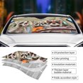 thumbnail image 4 of Parabrisas Begarm con tres divertidos mapaches para coche, 4 of 7