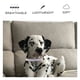 thumbnail image 4 of Collar de perro flash ajustable, collar de perro rosa, collar de gato, collar de perro de diamante, 4 of 5