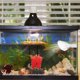 thumbnail image 4 of Nestingho Acrylic Water Outlet Para Acuario Con Ajuste Vertical Y Componentes Duraderos, 4 of 7