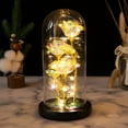 thumbnail image 7 of LYCAQL Birthday Gifts For Women,Rose Flower Gifts for Mom,Womens,Colorful Rainbow Flower Rose Light Up Rose in A Glass Dome,Xmas Gifts For Her,Anniversary,Valentines,Wedding Gifts, 7 of 7
