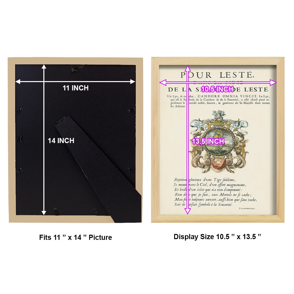 Printed Embellished Bookplate VI - Framed Print w/glass - Natural Wood