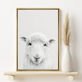 thumbnail image 2 of PixonSign Framed Canvas Print Wall Art Monotone Sheep Portrait on Gray Background Animals Wildlife Photography Minimalism Modern Closeup Whimsical for Living Room, Bedroom, Office - 16"x24" Natural, 2 of 5