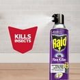 Raid Flea Killer, Kill Fleas & Ticks on Dogs at Home, 16 oz
