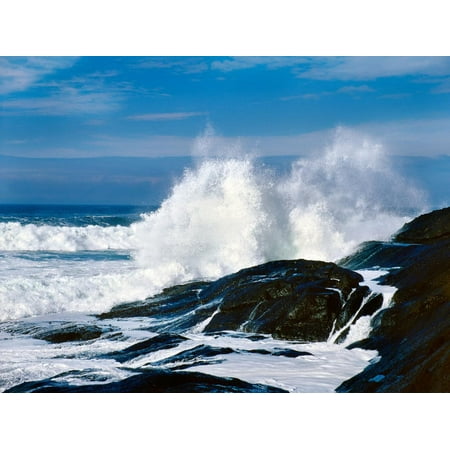 Waves crashing against rocks at Pirate Cove, Oregon Coast, Lincoln County, Oregon, USA Print Wall