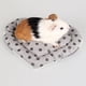 thumbnail image 1 of Cojín en apariencia de del animal doméstico del cojín del animal suave y de la del hámster - Gris Colco Jaula de hámster vellón, 1 of 4