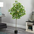 thumbnail image 4 of Nearly Natural 61" Lemon Artificial Tree, 4 of 5