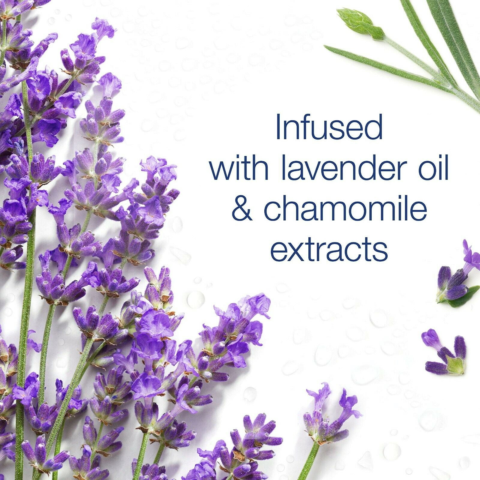 Dove Body Wash Lavender Oil and Chamomile Cleanser That Nourishes Your Skin Calms & Comforts Skin