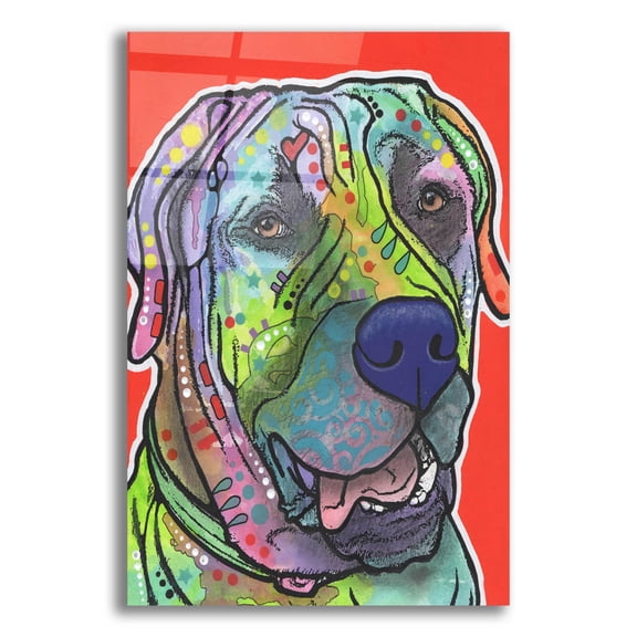 Epic Art 'Zeus' by Dean Russo, Acrylic Glass Wall Art, 16"x24"