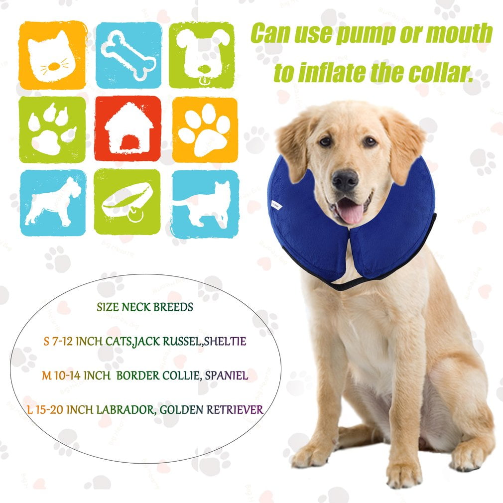 inflatable dog cone walmart