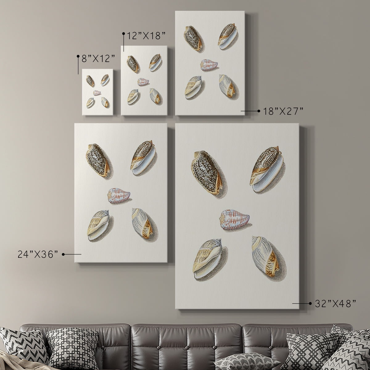 Pastel Knorr Shells III Premium Gallery Wrapped Canvas - Ready to Hang