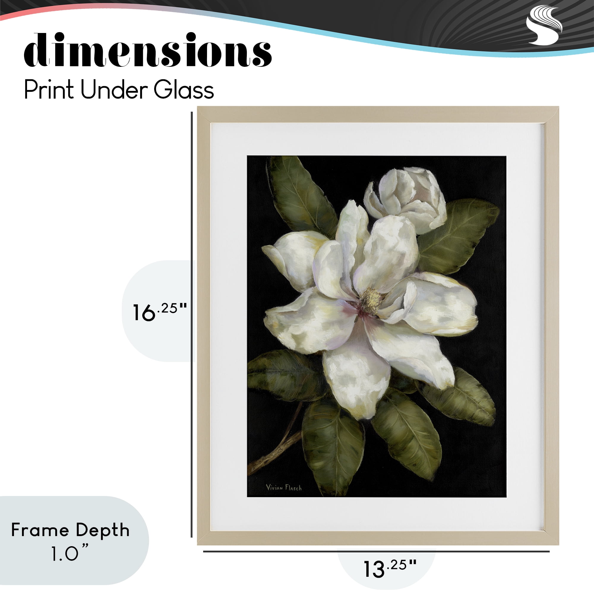 Stupell Industries Budding Magnolia Blooms Birch Framed Print Under Glass, design by Nan