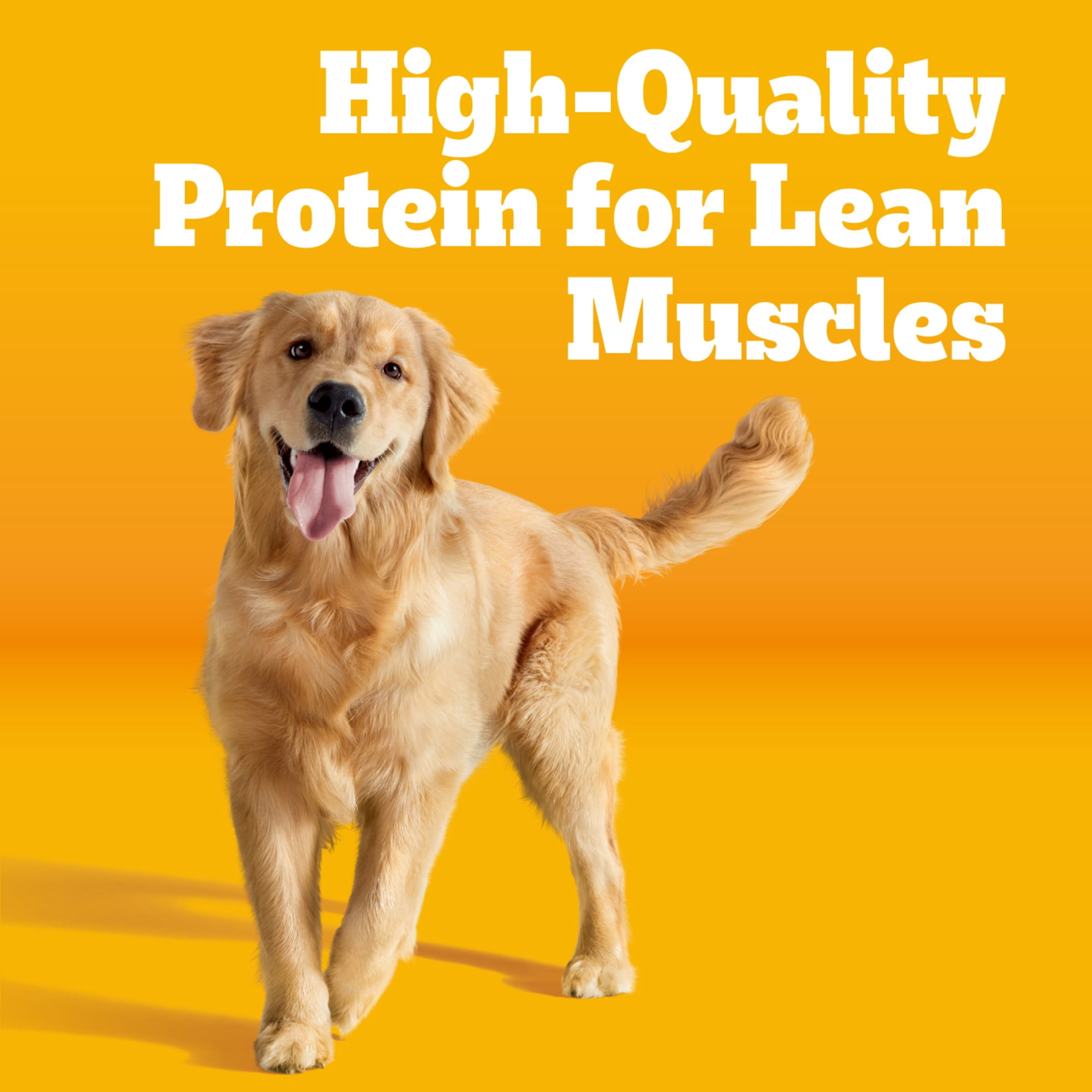Pedigree Complete Nutrition Adult Steak & Vegetable Flavor Dry Dog Food, 40 lb Bag