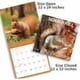 thumbnail image 4 of Calendario de Pared 2026, Calendario de Ardilla, Calendario de Pared Mensual Colgante con Bloques Grandes para Organizar y Planificar, Horario Académico, Hogar, Oficina y Familia, Papel Grueso y Resistente, 4 of 6