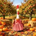 thumbnail image 6 of Porch Goose Thanksgiving Turkey Costume, Christmas Halloween Courtyard Decoration 23-Inch White Outfit, 6 of 6