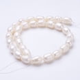 thumbnail image 2 of Natural Cultured Freshwater Pearl Beads Strands Oval Seashell Color 11~13x9~10mm Hole: about 0.5mm about 30pcs/strand 13.8 inch, 2 of 4