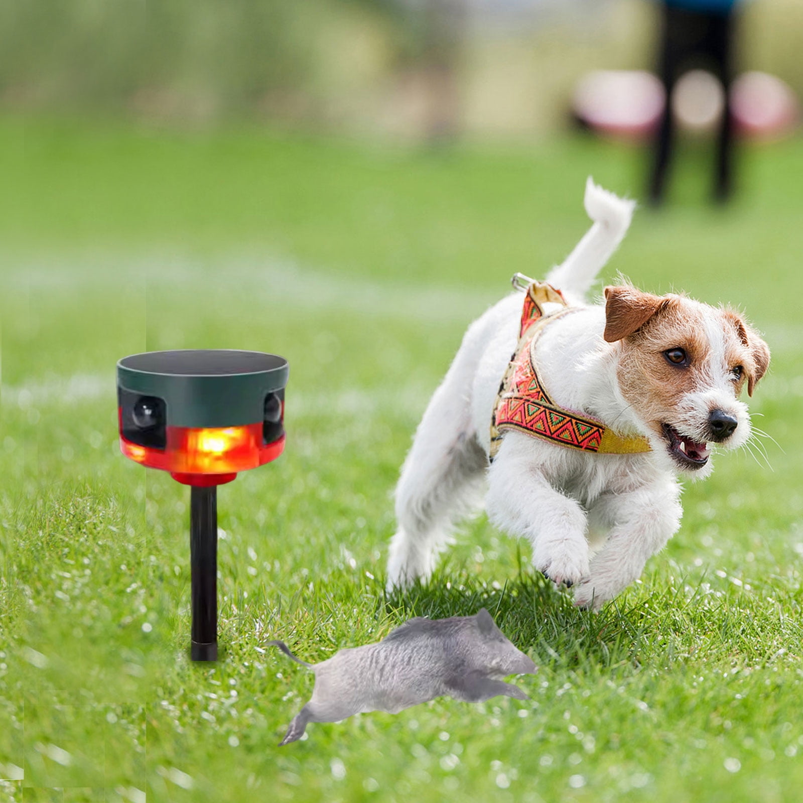 Ultrasonic Animal Repeller , Solar Powered Motion Sensor Pest Deterrent , Waterproof ABS and Green Synthetic Material , Garden Lawn Yard and Farm Wildlife Protection