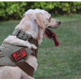 thumbnail image 2 of S.lux Nylon Dog Collar, Command Handle Dog Collar With Metal Double D Ring Buckle Decorative Strap For Military Neck, Scratch Resistant, 2 of 5