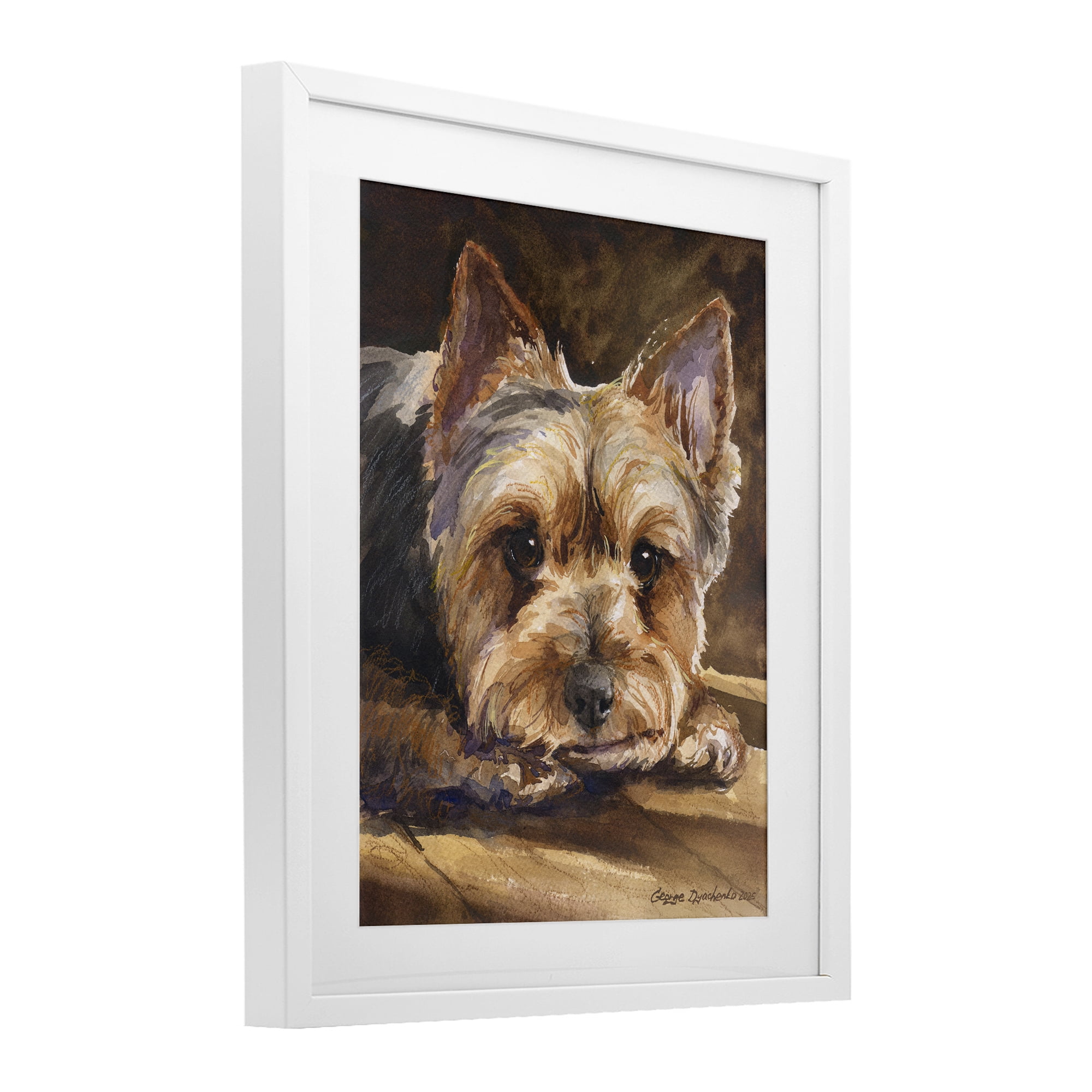 Stupell Industries Yorkshire Terrier Portrait White Framed Print Under Glass, design by George Dyachenko