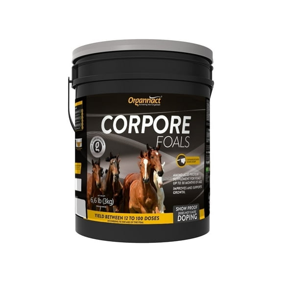 Organnact CORPORE FOALS to assist the proper growth of foals 6.6lb