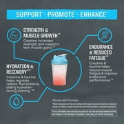 Sunwarrior US Active Creatine + Taurine | 60 Servings