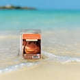 thumbnail image 4 of Beach, Please Scented Wax Melts, ScentSationals, 2.5 oz, 4 of 12