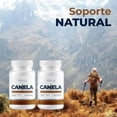 thumbnail image 4 of Canela 400 Mg Pack 2 Frascos 100 Cápsulas C/u Sin Sabor, 4 of 8