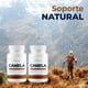 thumbnail image 4 of Canela 400 Mg Pack 2 Frascos 100 Cápsulas C/u Sin Sabor, 4 of 8