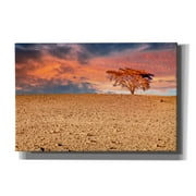 Epic Graffiti Sahara Desert Beauty by Mark A Paulda, Canvas Wall Art, 18x12
