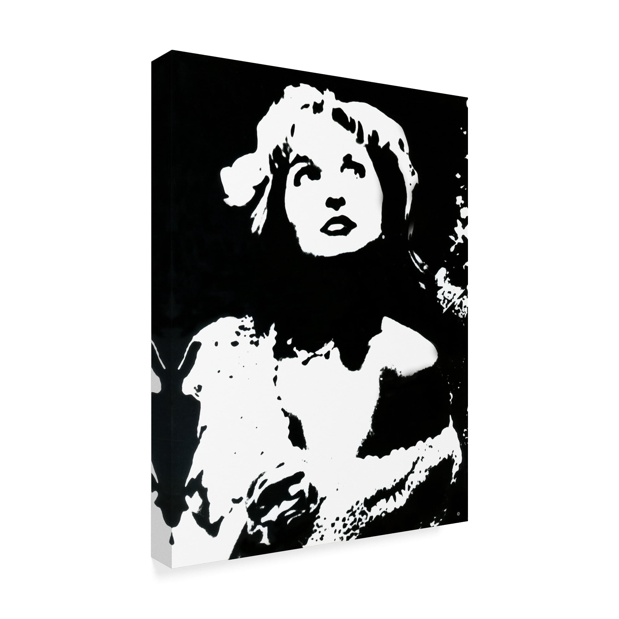 Trademark Fine Art 'Black And White Portrait' Canvas Art by Audrey