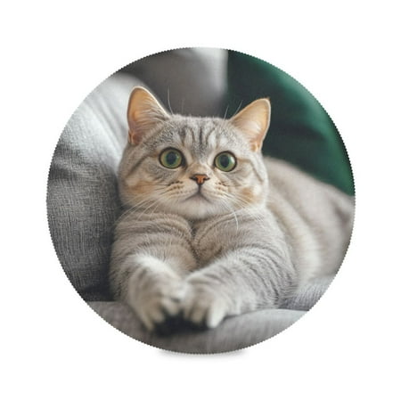 

WOBOGO Cute English Shorthair Cat Round Placemats Set of 1 Heat Resistant Washable Kitchen Table Decorations 15.4in