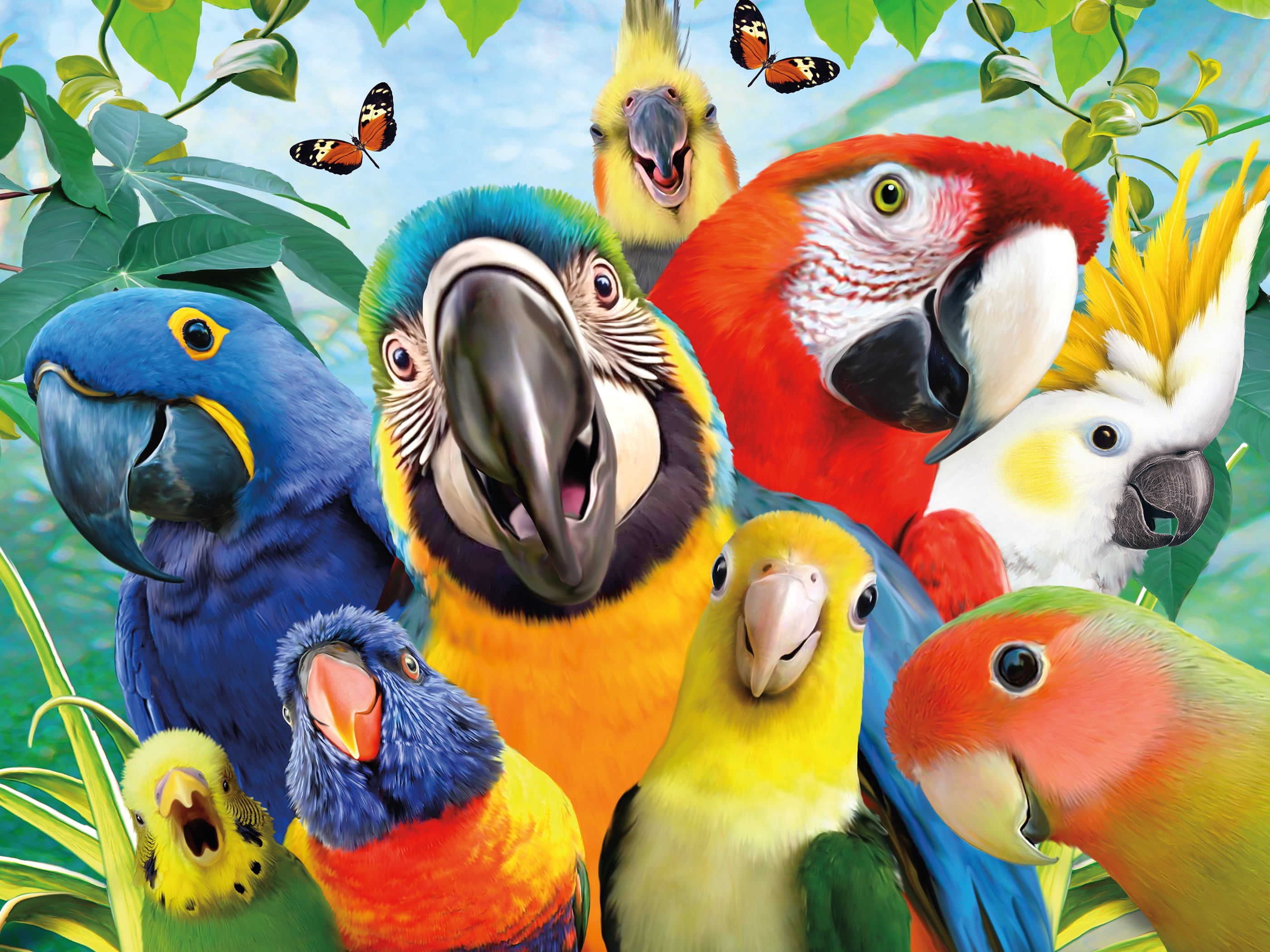 Puzzle en 500 pièces Ceaco Perfect Parrot Selfies pour adultes, à partir de 14 ans