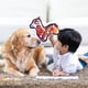 thumbnail image 5 of Promotion!Perro mascota compuesto resistente a mordeduras TPR sonido perro grande Goldens Retrievers dentición juguete interactivo para perros, 5 of 5
