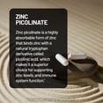 thumbnail image 3 of NatureWise Zinc Picolinate with D3 + K2 - Zinc Supplements for Men & Women + Vitamin D3 K2 - Supports Immune & Bone Health* - Non-GMO, Gluten Free, USA Manufactured - 30 Capsules[30 Day Supply], 3 of 11