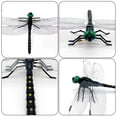 thumbnail image 2 of 10pcs Fake Dragonfly Bug Repellent, 5.5" Large Realistic Dragonfly Model with Safety Pin & Lanyard, Chemical-Free Insect Deterrent for Camping, Strollers & Gardens, 2 of 6
